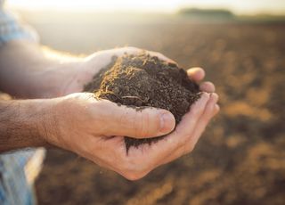 Кислотность почвы (pH). Что необходимо знать каждому агроному о реакции почвы?