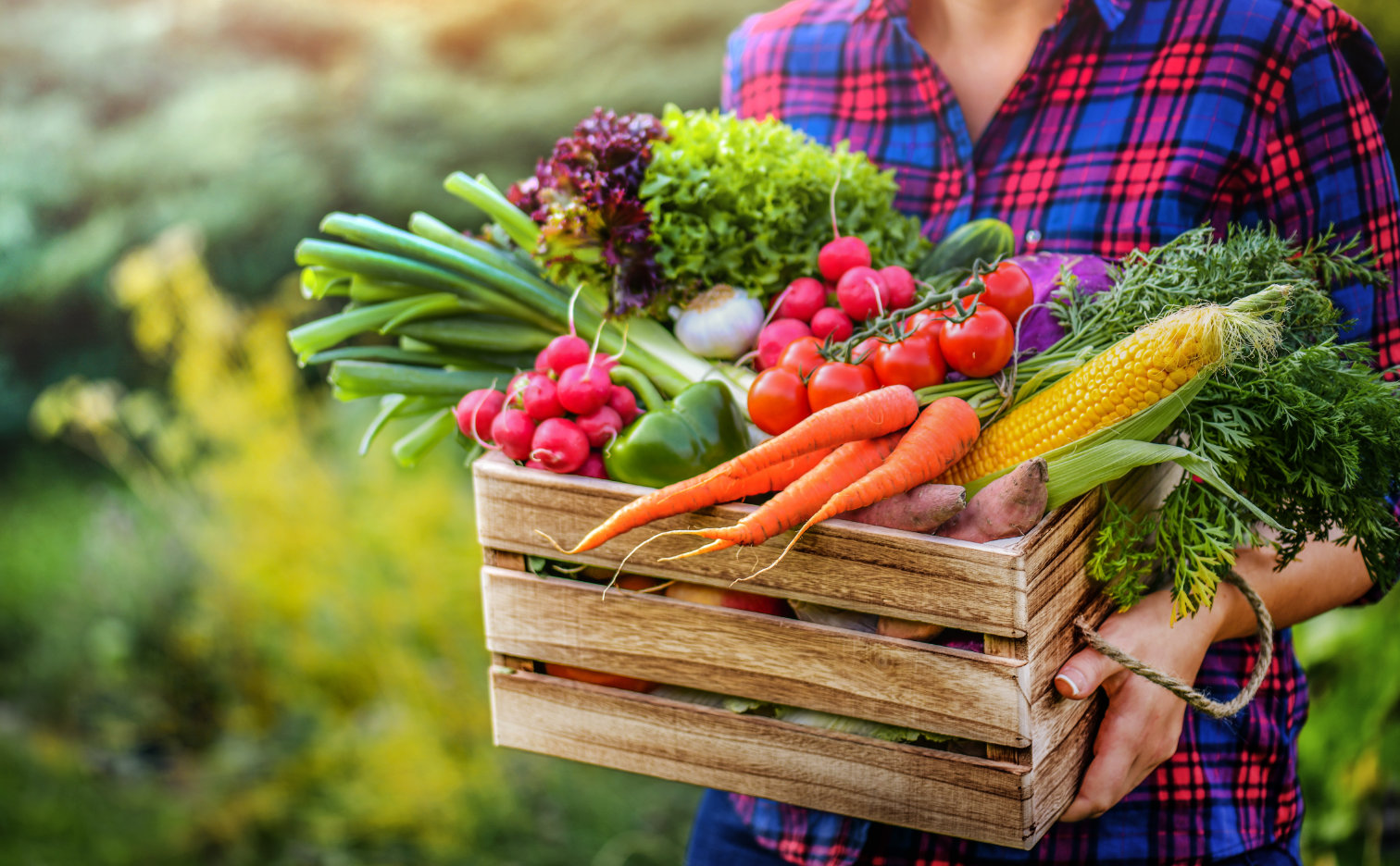 Calendar of sowing vegetables and planting plants to a permanent place