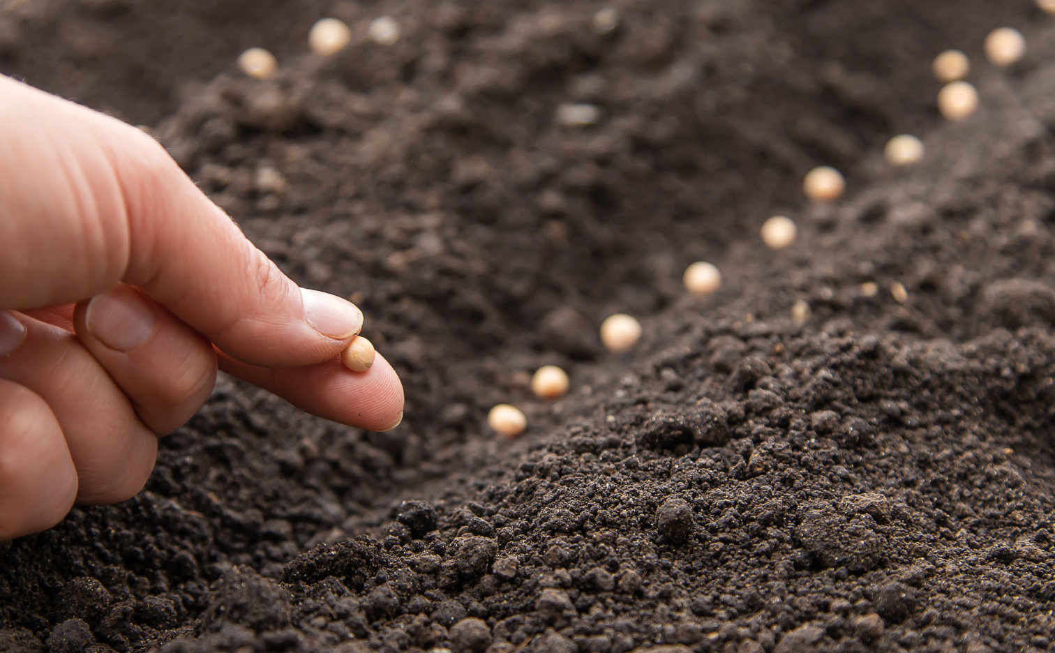 Benefits of using microgranules when sowing
