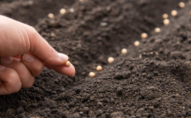 Benefits of using microgranules when sowing