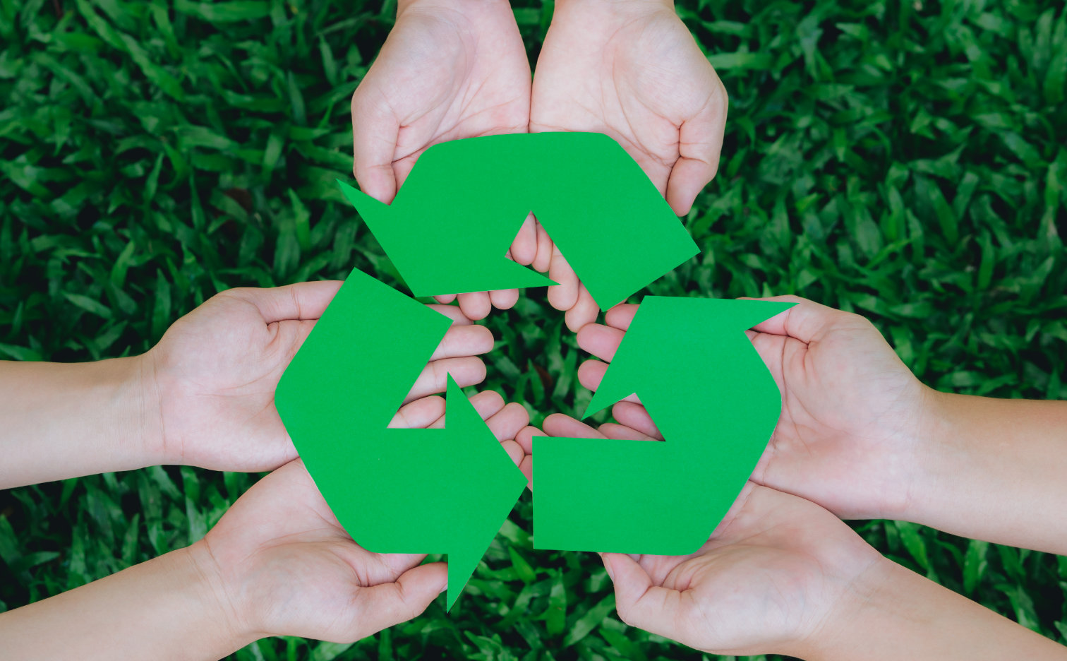 A natural combination of phosphorus and calcium in a foliar fertilizer