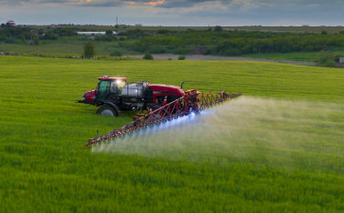 Foliar fertilizers for cereals - feeding with microelements, i.e. foliar fertilization of cereals