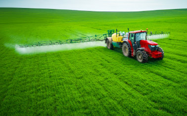 Wheat fertilizer - which one to choose?