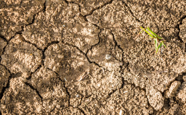 An effective step in the fight against drought