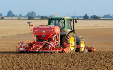 Sowing dates and depth, i.e. what influences winter oilseed rape sowing