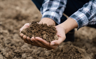 What you need to know about your soil