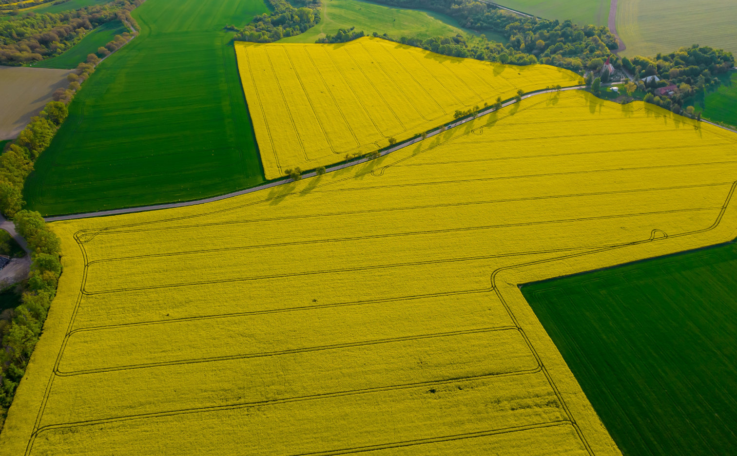 Foliar fertilizers – everything you need to know